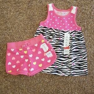 2T short and tshirt set